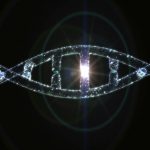 Tumore del collo dell’utero: Pap test o ricerca del DNA del Papilloma virus?