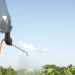 Test dei pesticidi multi-residuo